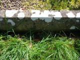 image of grave number 961284
